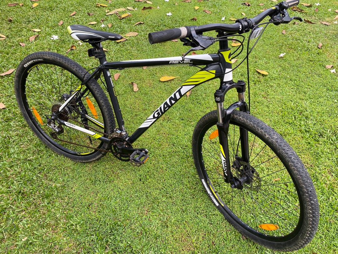 Giant revel xl best sale