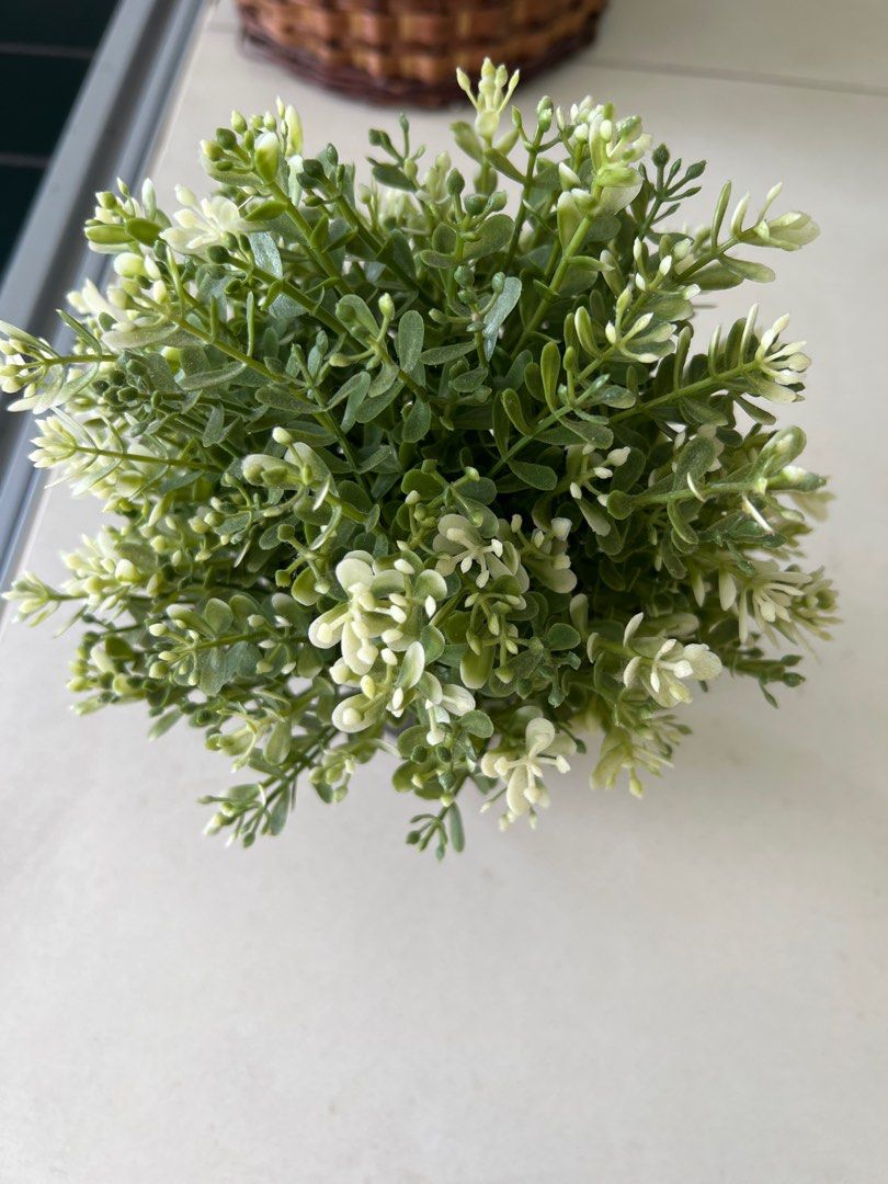 IKEA artificial plant, Furniture & Home Living, Home Decor, Artificial