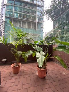（分類：）位於 。 由 cassiet35 提交（商品編號 1234090125，圖片 1）。簡介： 。