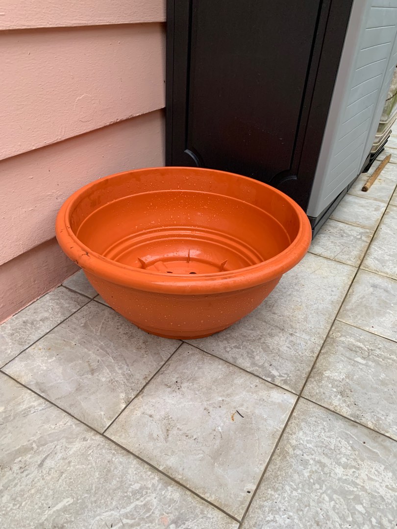 Large round plastic pot, Furniture & Home Living, Gardening, Pots