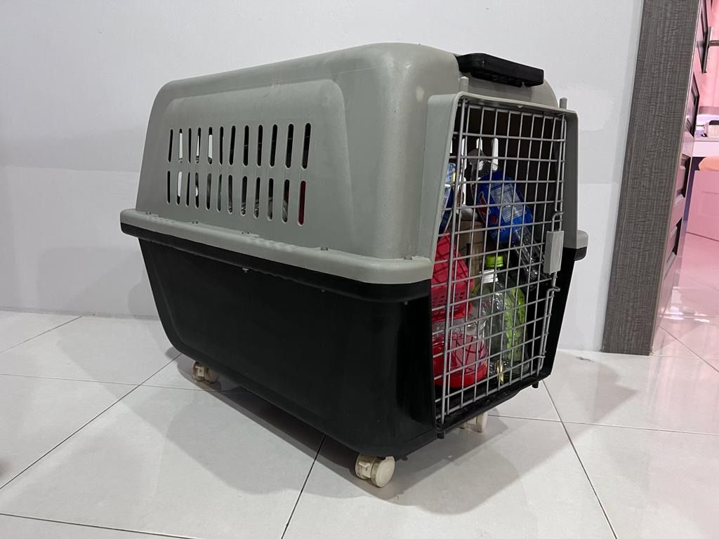 Second hand shop cat carrier