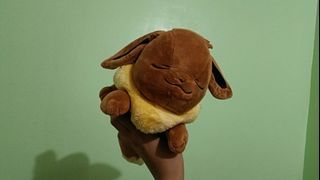 Sleeping Eevee Plush