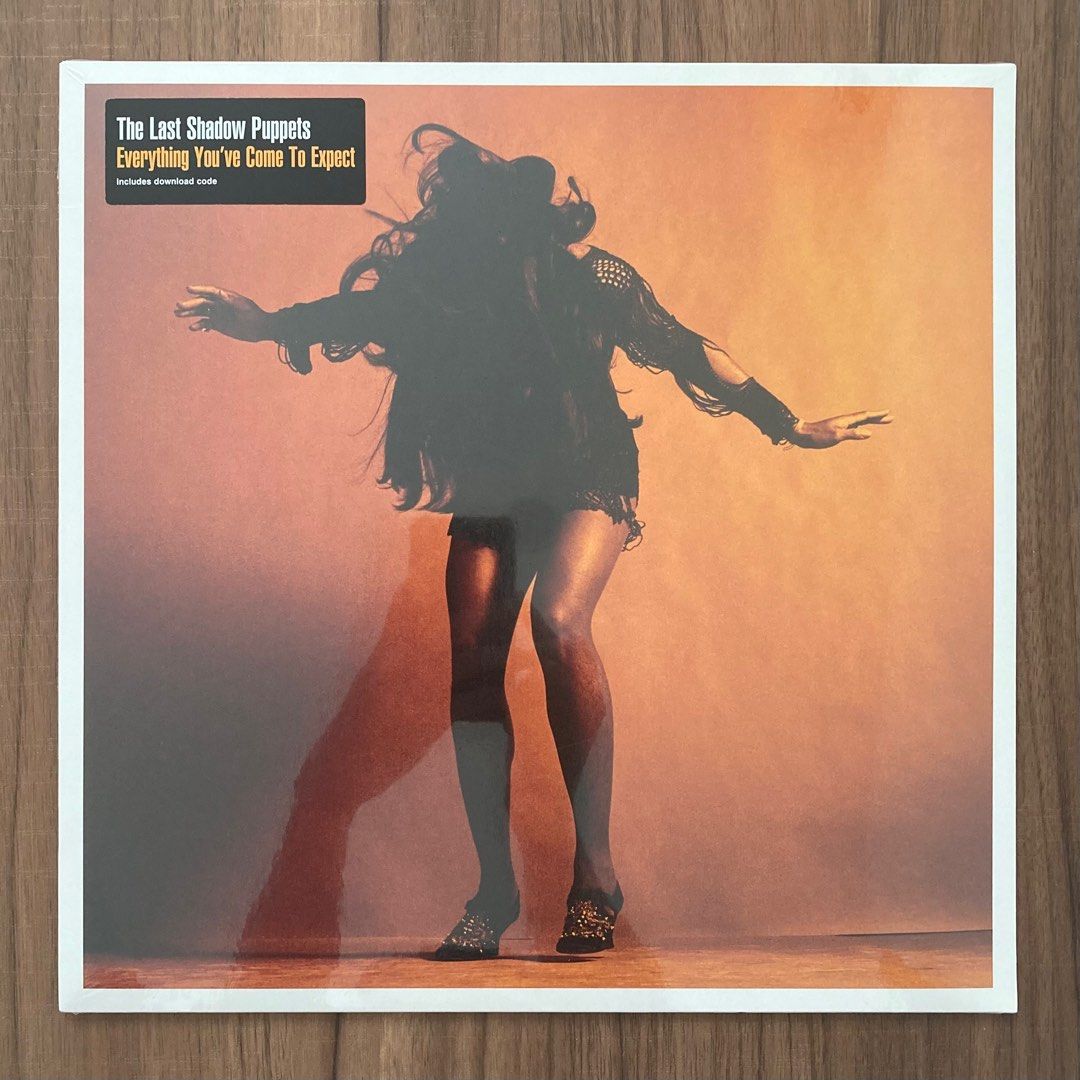 last shadow puppets poster