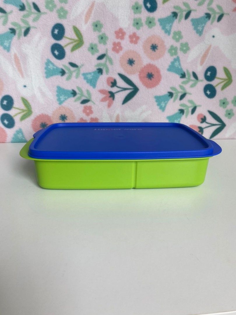 Tupperware Lunch Box with compartment, Furniture & Home Living