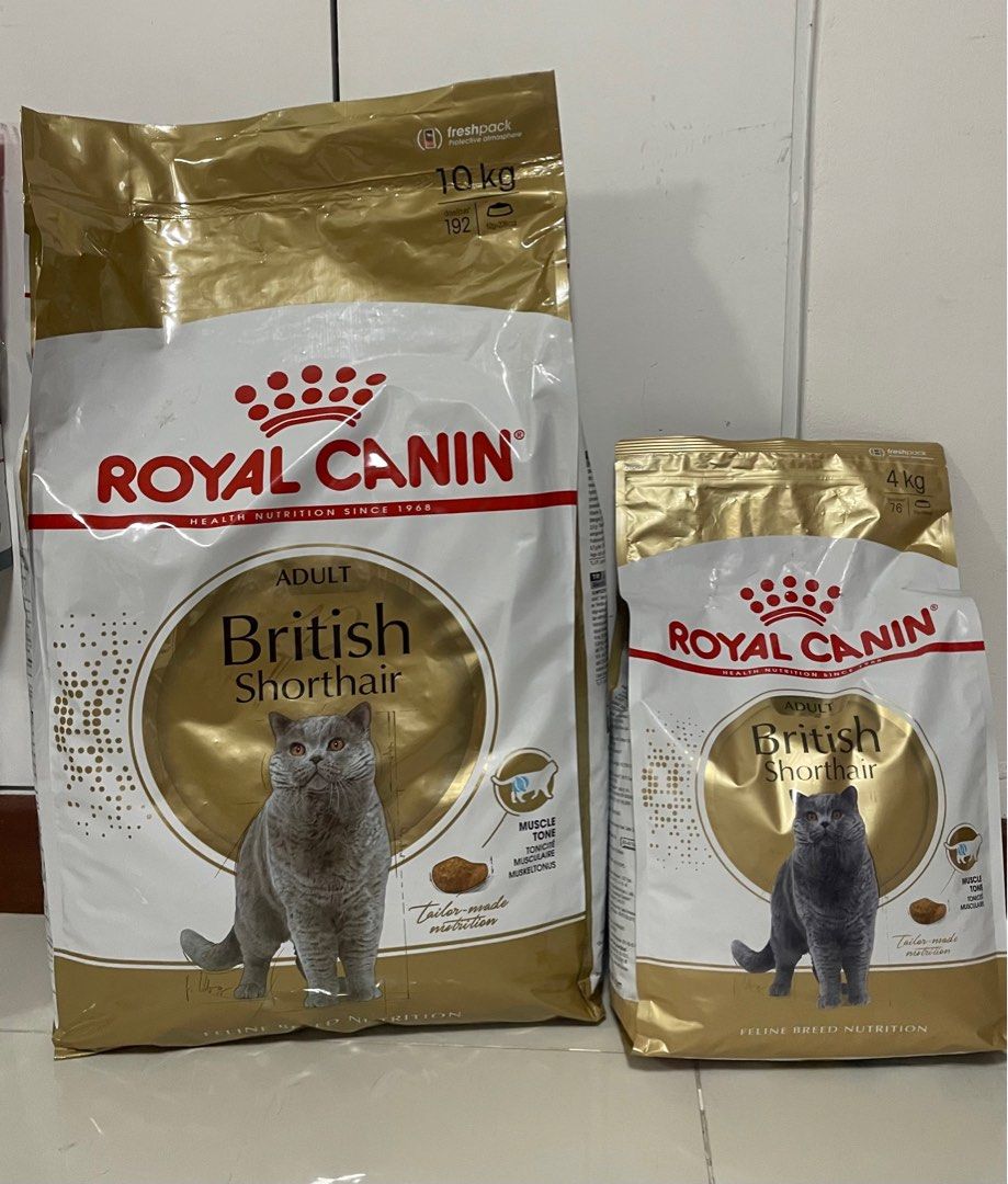 Royal canin british shorthair 10 kg cheap