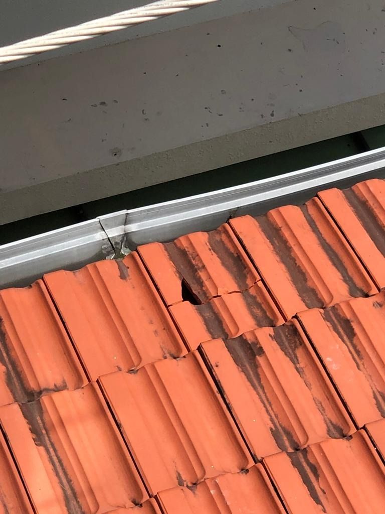 Affordable Roof Leaking Repairs 💰🏠💧62863076360322111