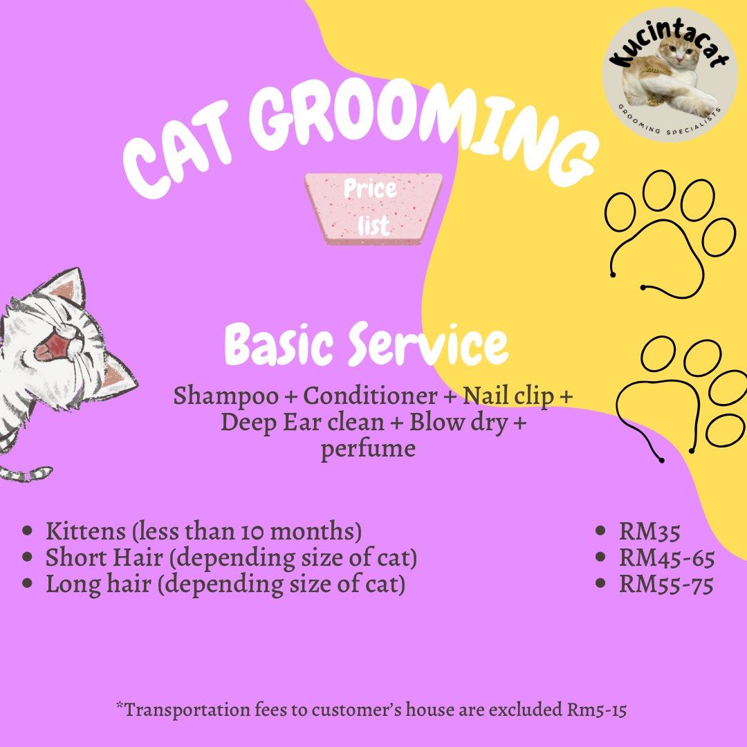 Cat washing service new arrivals