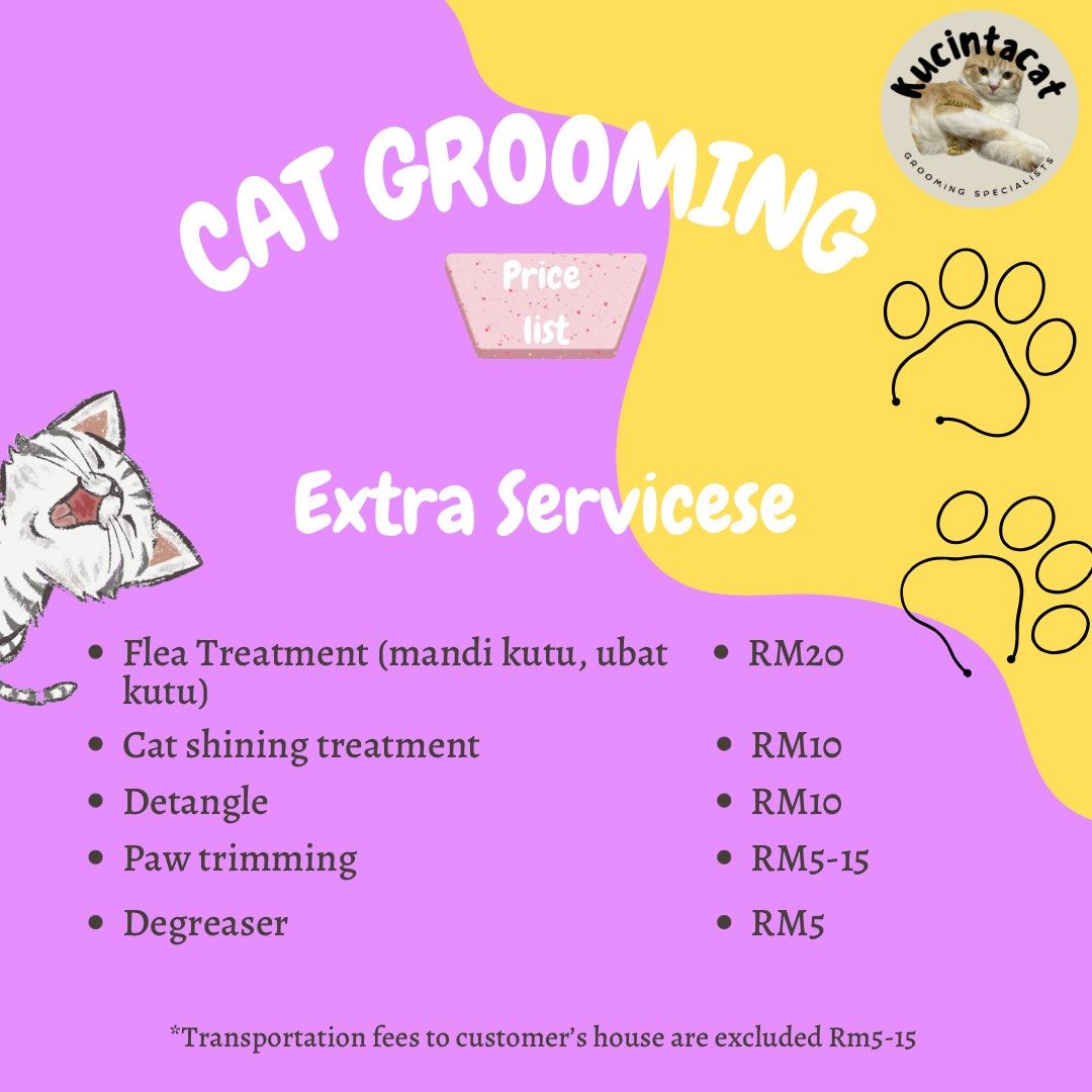 Cat hot sale grooming services