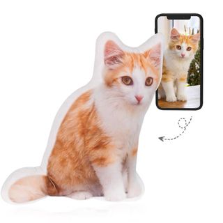 (Category: ) located in . Submitted by thrifty_cent (Listing ID 1234325270, Image 1). Description: .