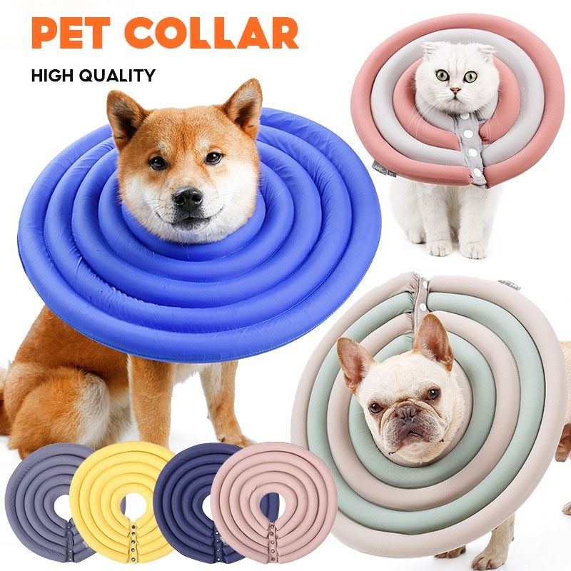 Canine e collar on sale