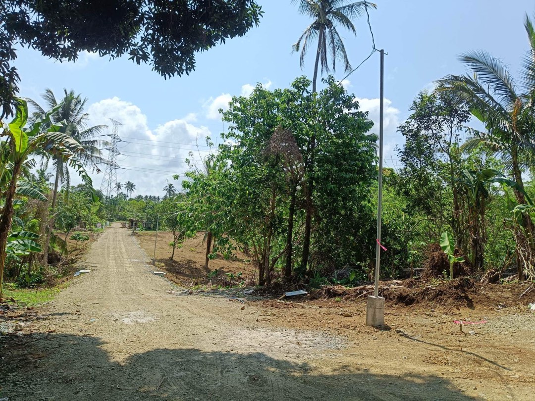 FARM LOT FOR SALE 1000 SQM COOL CLIMATE INDANG CAVITE, Property, For