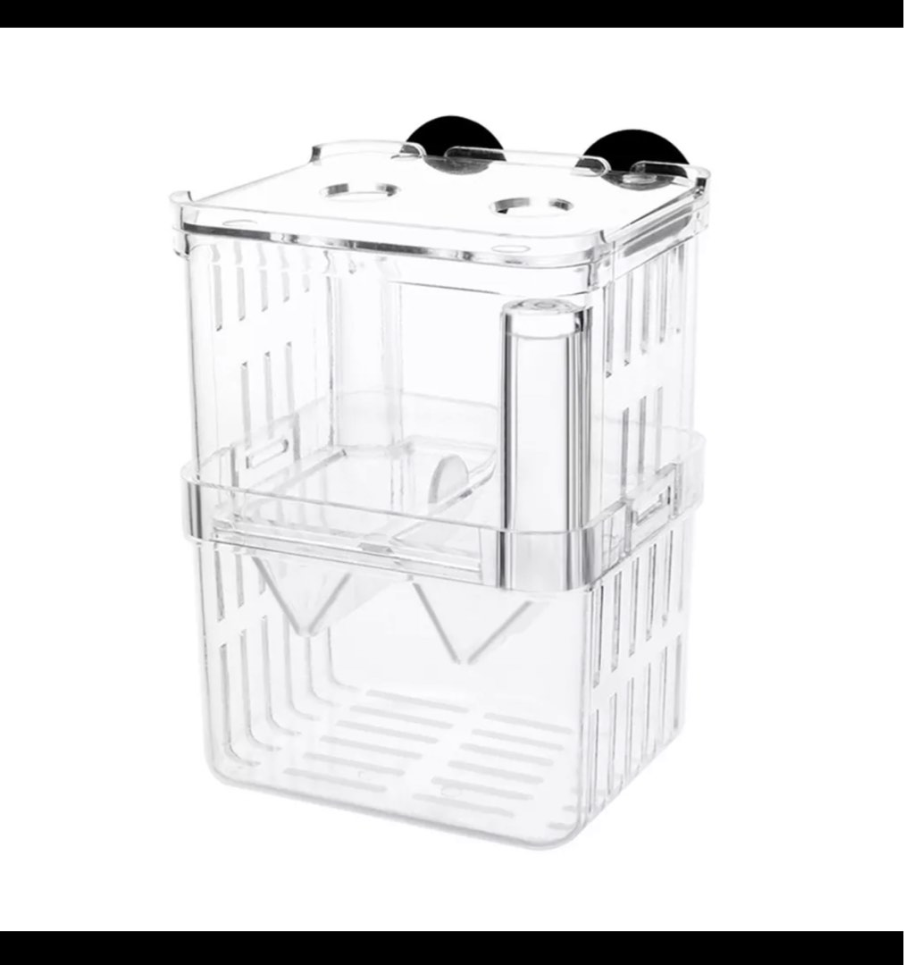 Fish Breeding Incubator Pet Supplies Homes Other Pet Accessories On types-of-fish-in-2023-types-of-fish-fish-list-freshwater-aquarium-fish