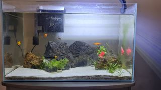 (Category: ) located in . Submitted by inhouse347 (Listing ID 1234284242, Image 1). Description: .