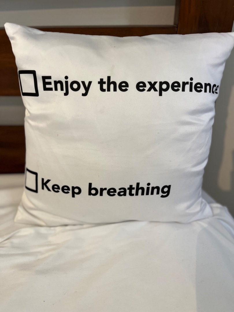 Funny cushion cover with cushion, Furniture & Home Living, Home Decor