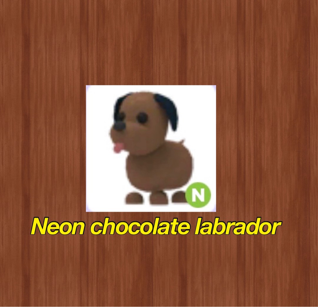 Neon Chocolate labrador Adopt me Roblox, Video Gaming, Video Games
