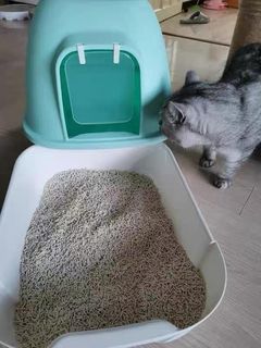 (Category: ) located in . Submitted by catwarehouse (Listing ID 1234411887, Image 1). Description: .