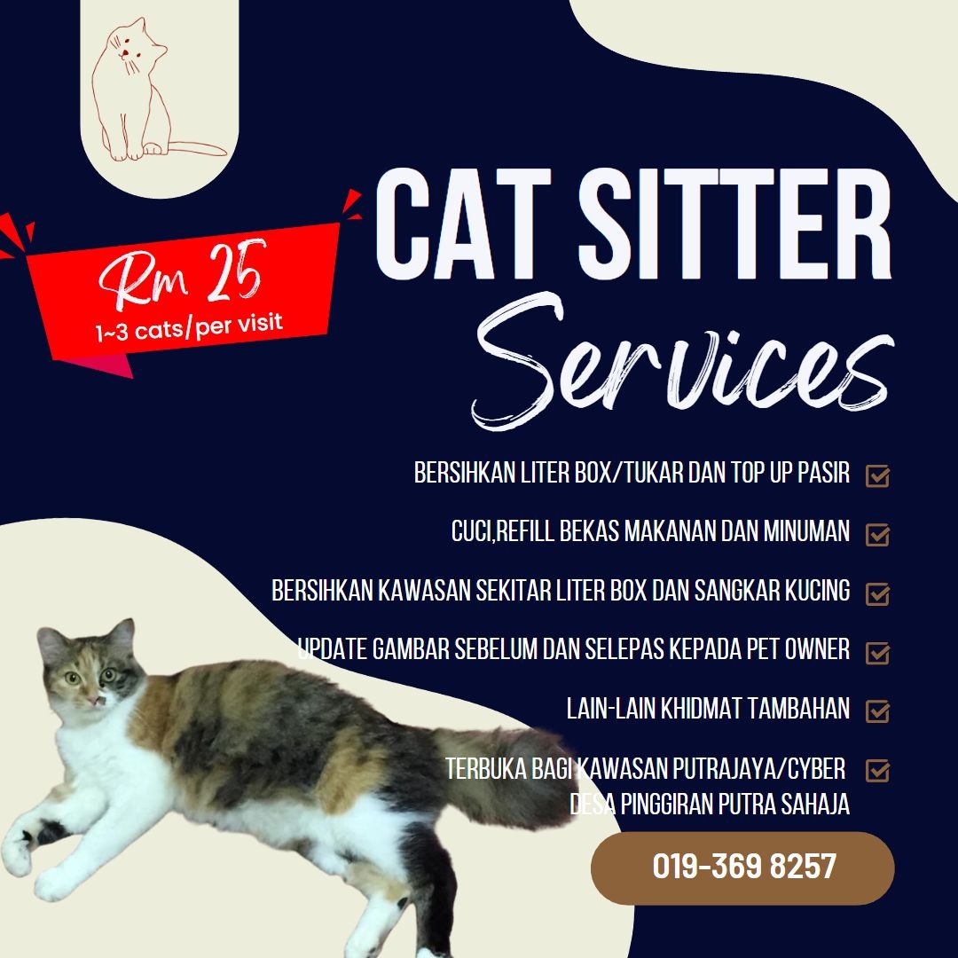 Putrajaya Cat Sitters, Pet Supplies, Homes & Other Pet Accessories on