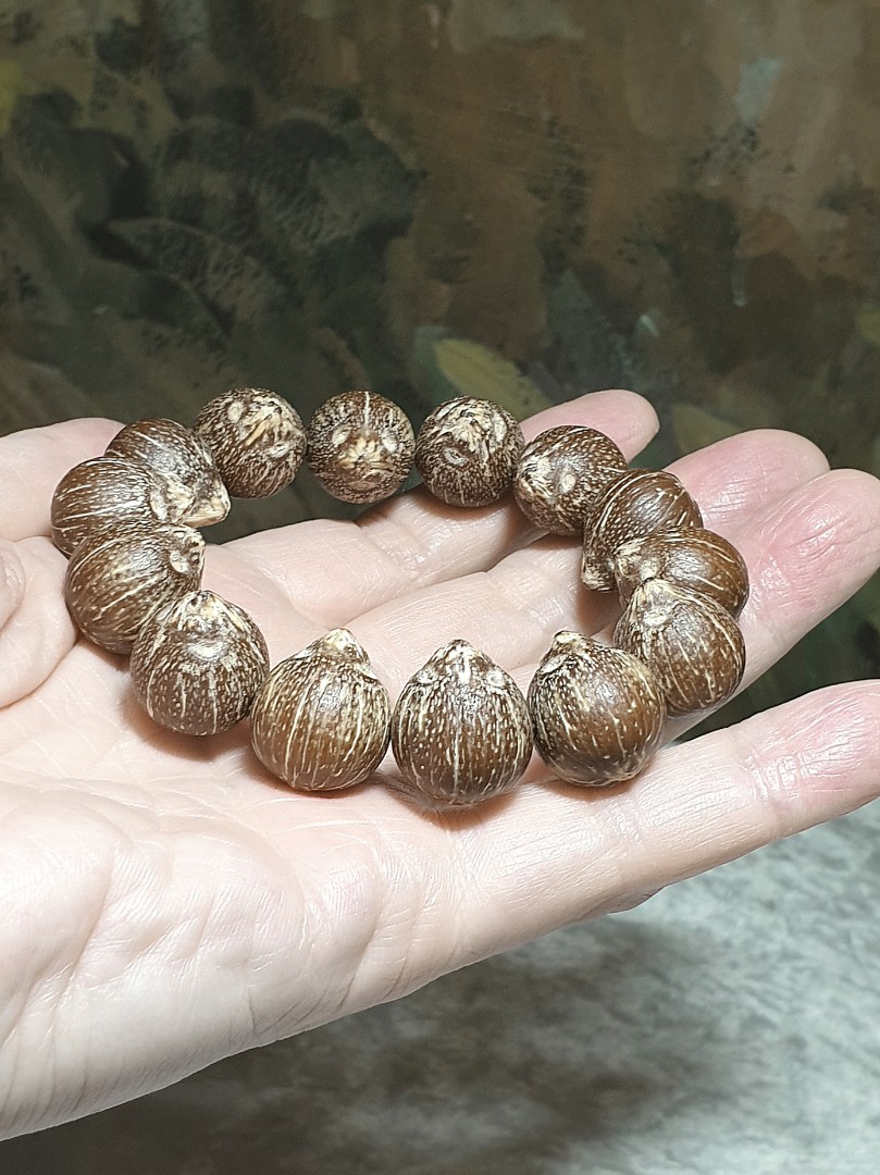 Raw 3-Eye Bodhi (zijinshu) bracelet [Natural unprocessed] 招财紫金