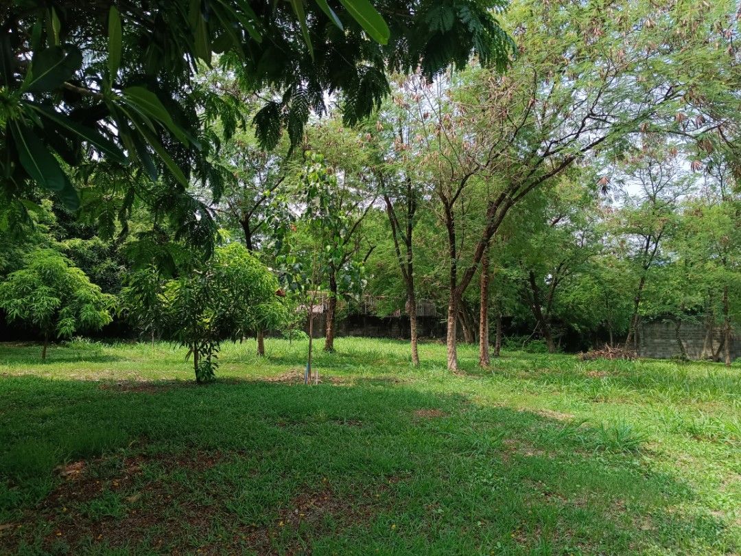 Residential lot for sale in Casa Milan Fairview Quezon City, Property