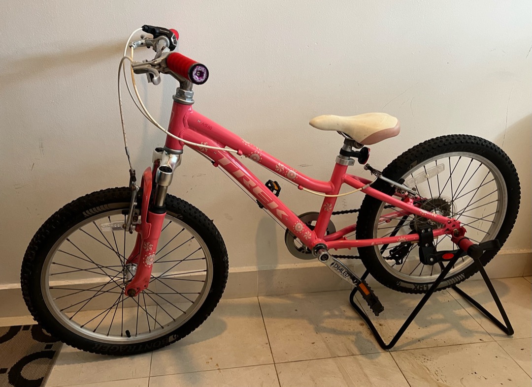 Trek 20 Inch Mountain Bike, Sports Equipment, Bicycles & Parts ...