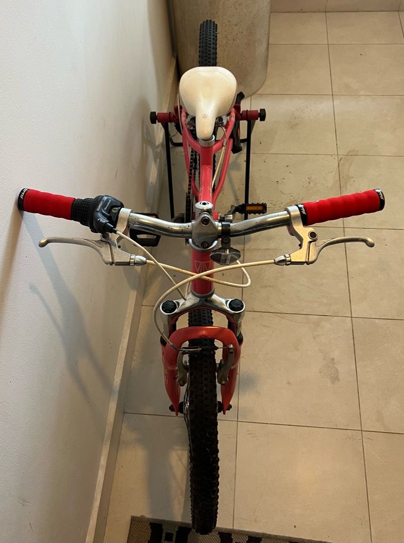 trek 20 inch mountain bike