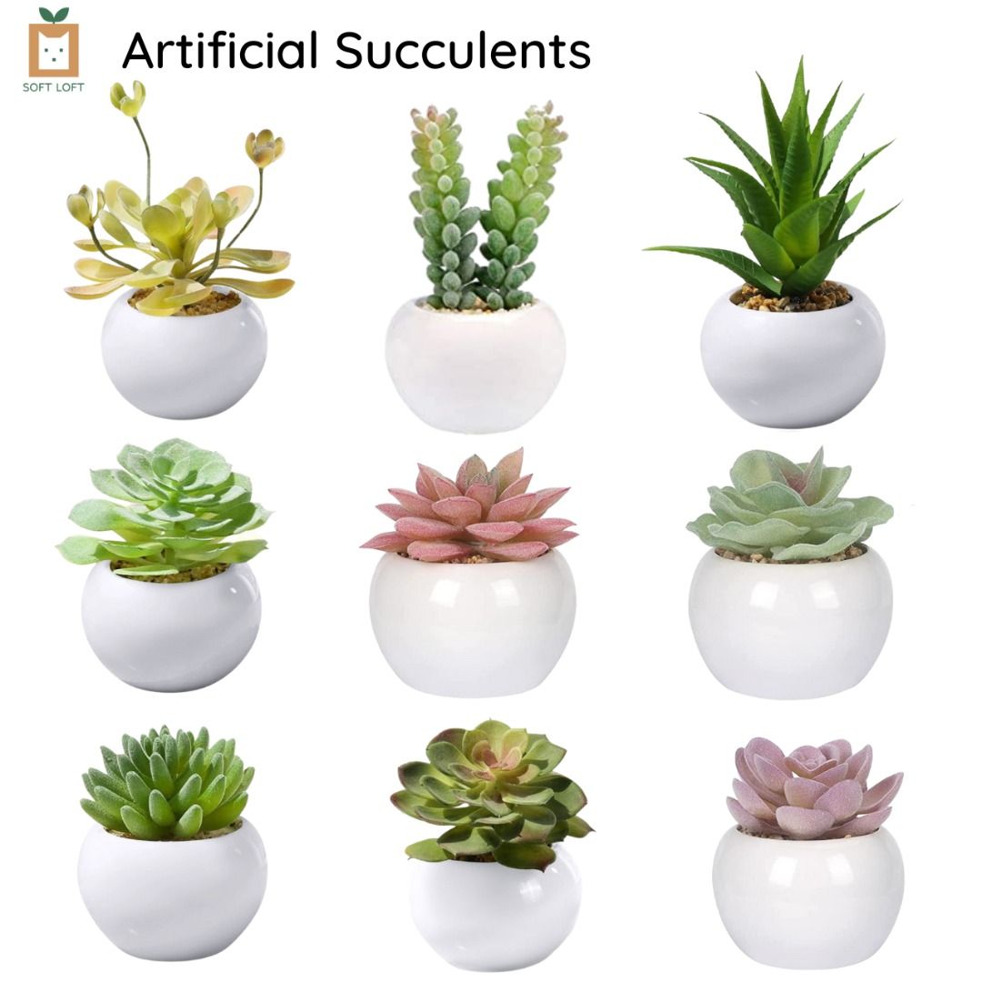 Artificial Mini Succulent Plants / Mini Artificial potted Plants / Mini Artificial Bonsai plant