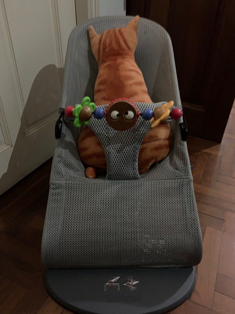 Baby Bjorn Ergonomic Rocker with Google Eyes, Babies & Kids, Infant