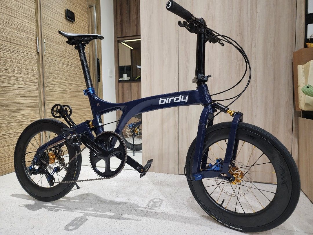 Birdy R20 8.9kg Full Mod Sports Equipment Bicycles Parts Bicycles on Carousell