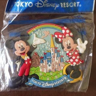 Disney ref magnet