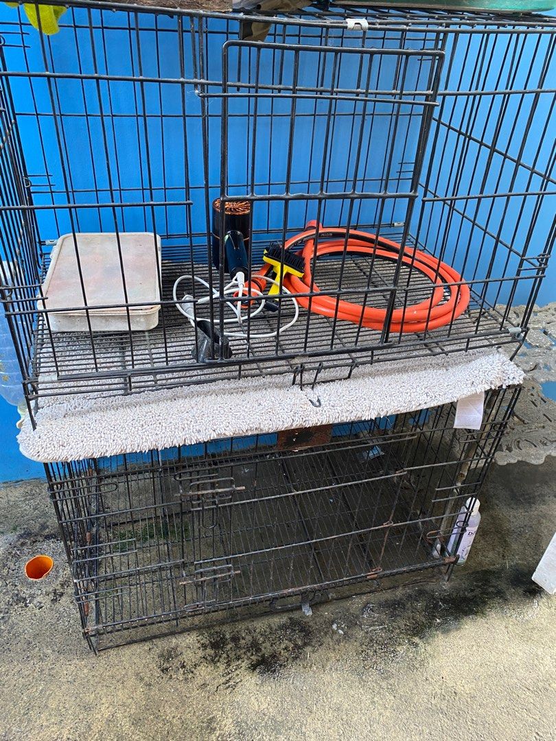 Dog cage, Pet Supplies, Homes & Other Pet Accessories on Carousell