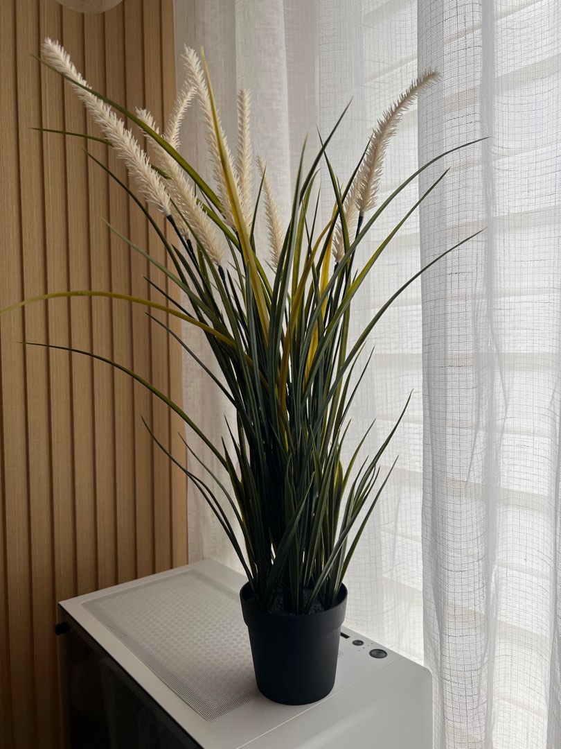 IKEA Artificial Plant on Carousell