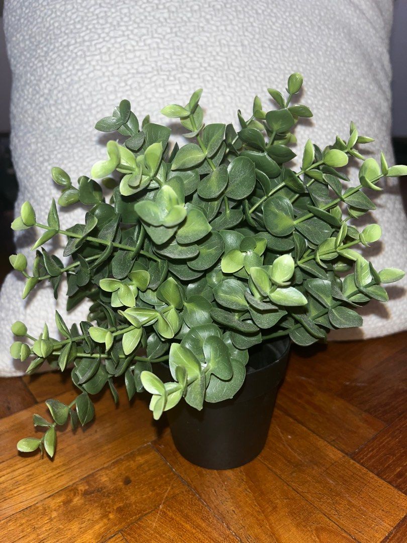 IKEA artificial plant, Furniture & Home Living, Home Decor, Artificial
