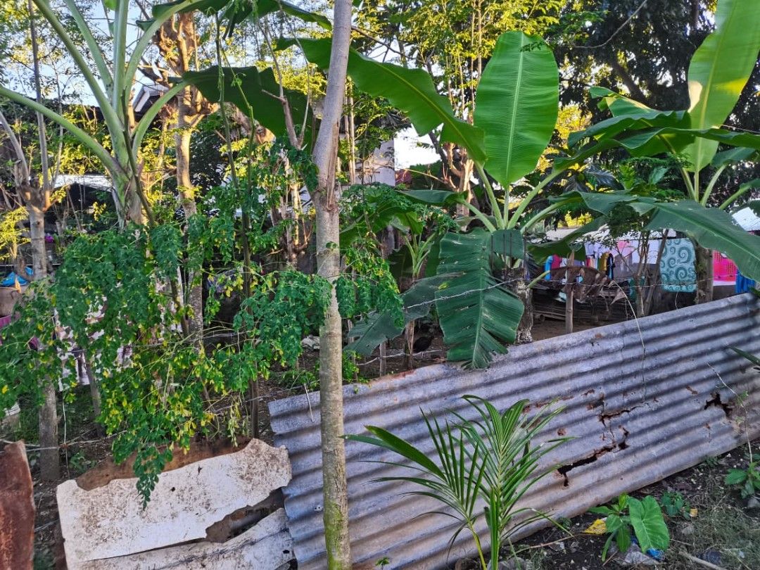 Lot for sale Cebu, Minglanilla on Carousell