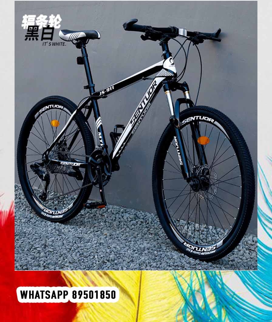 Phoenix 2025 target bicycle
