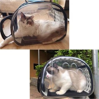 (Category: ) located in . Submitted by pawlobby (Listing ID 1234562191, Image 1). Description: .