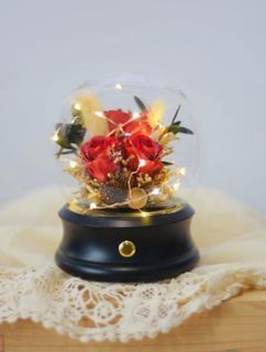[Clearance!!! x 2] Preserved Flower Dome with Bluetooth Speaker