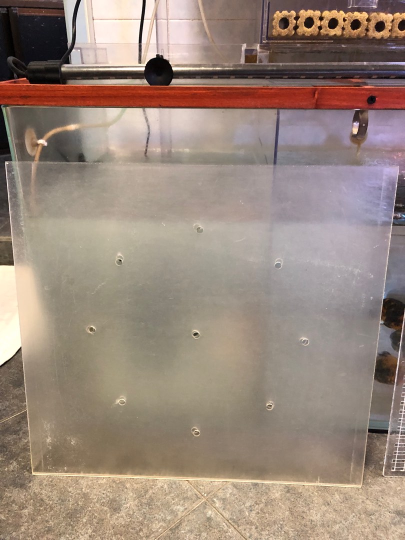 Tank dividers ( for 4ft x 1.5ft and 2ft x 1ft tank), Pet Supplies