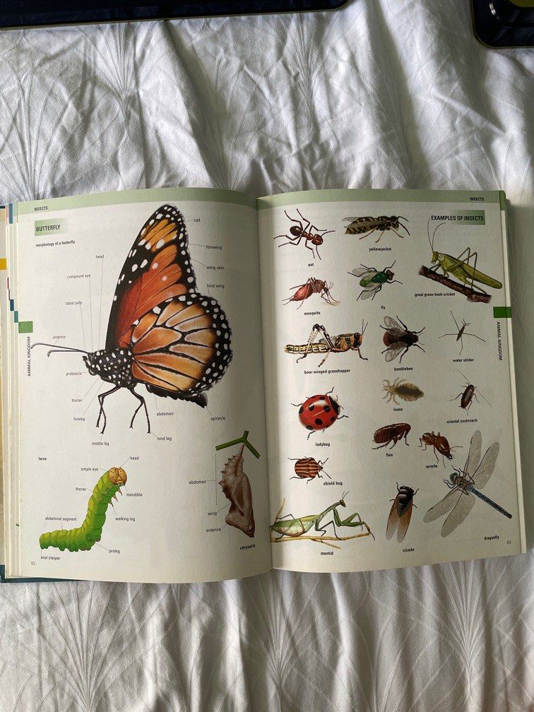 Visual Dictionary (The Firefly Junior Visual Dictionary), Hobbies