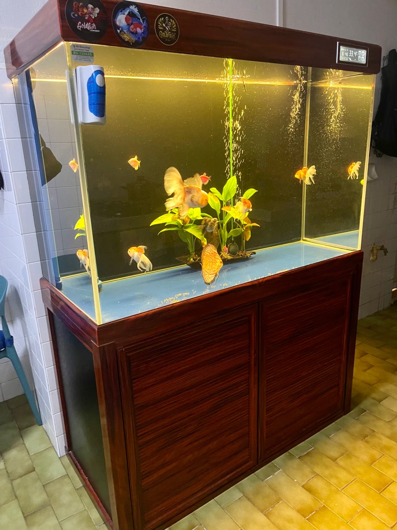 4 feet fish tank with and sump tank., Pet Supplies, Homes & Other Pet Accessories on