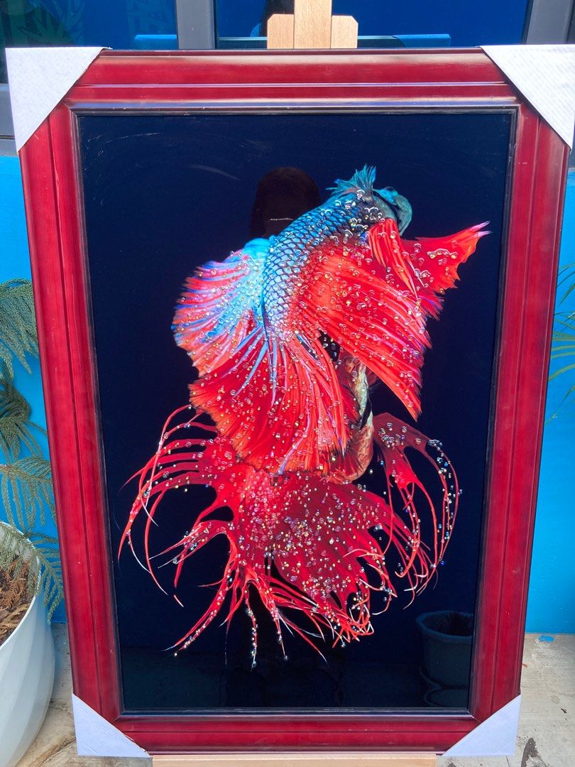 62x92cm Beta Fish Wall Frame w/ Diamond Design, Furniture & Home Living ...