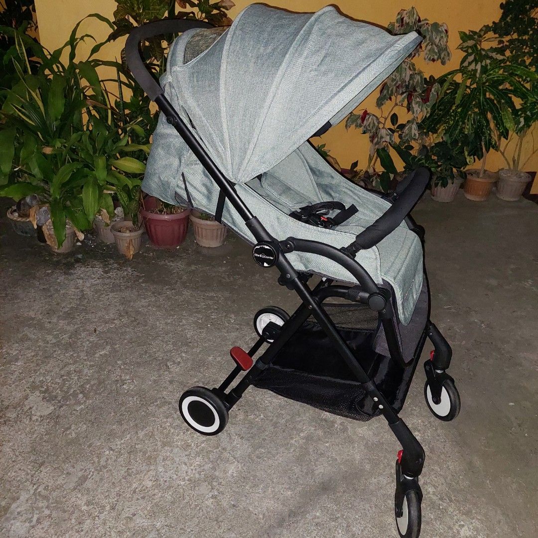 Giant carrier hudson stroller on sale