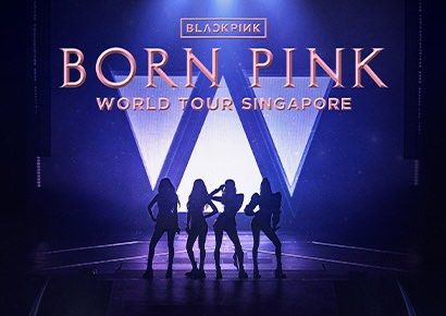 BLACKPINK (BLINK VIP ) Concert Singapore, Tickets & Vouchers, Event ...