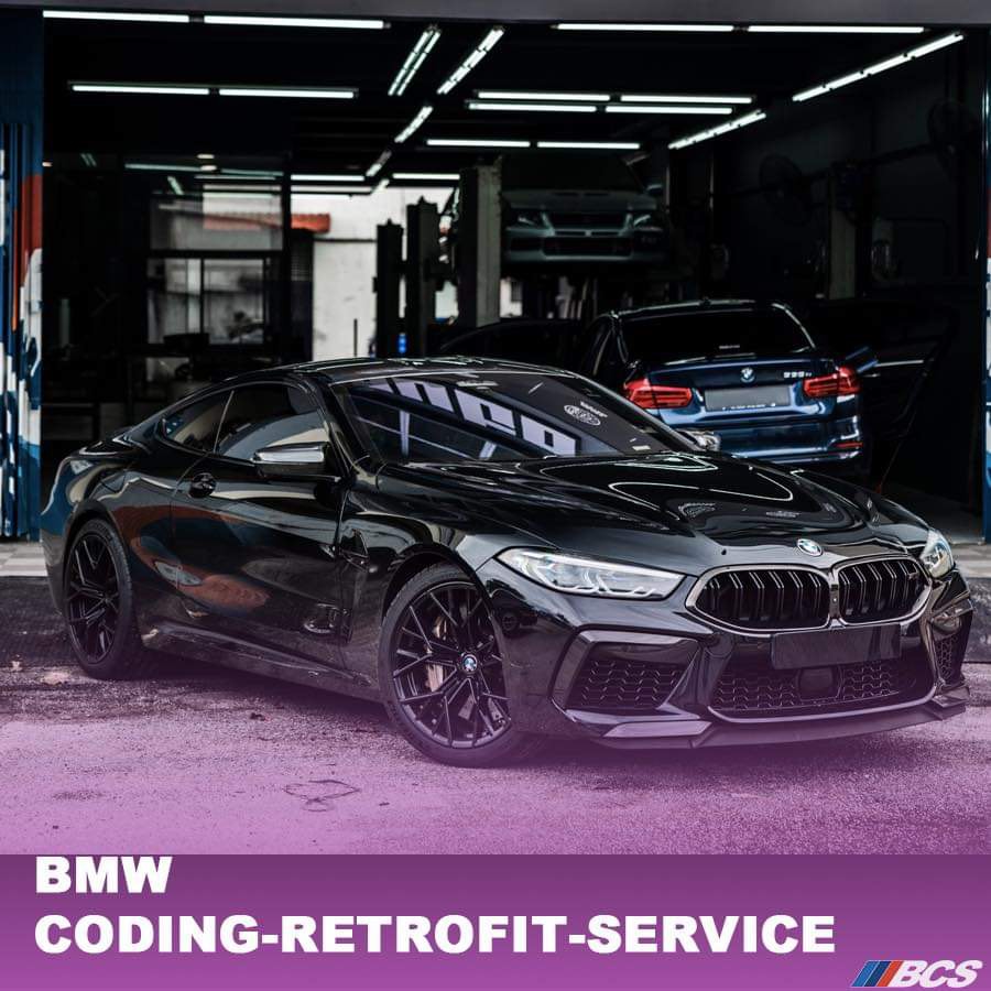 BMW & MINI COOPER SOFTWARE CODING, Car Accessories, Car