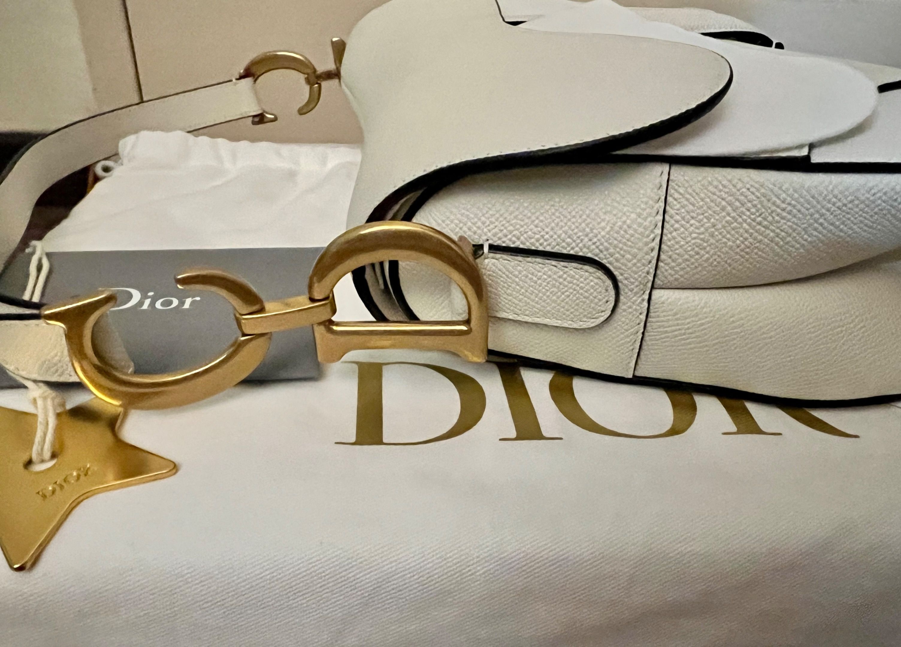 Christian Dior Saddle Bag in Latte Grained Calfskin