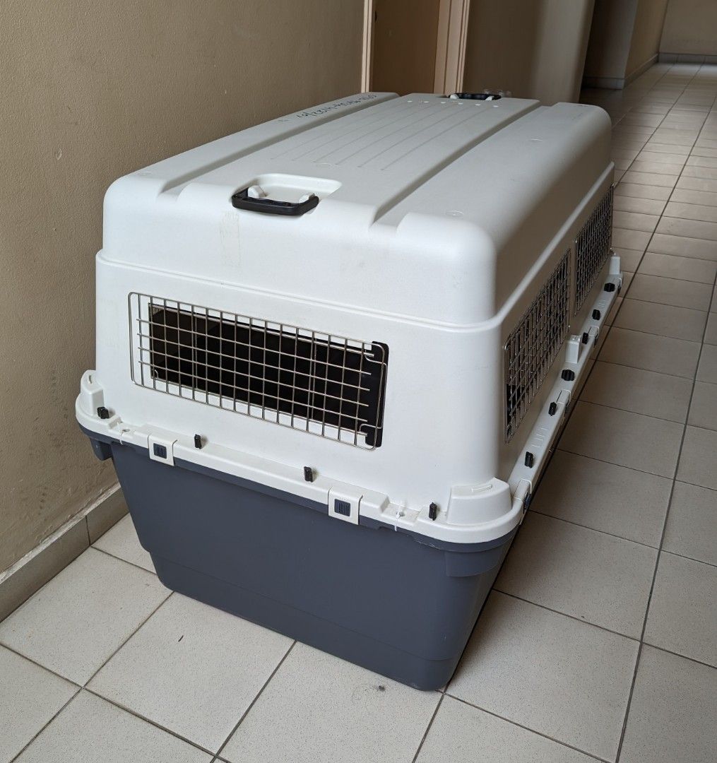 Dog Crate XL/XXL for flying], Pet Supplies, Homes