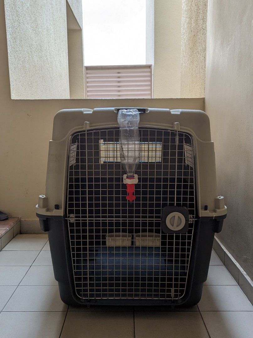 Dog Crate XL/XXL for flying], Pet Supplies, Homes