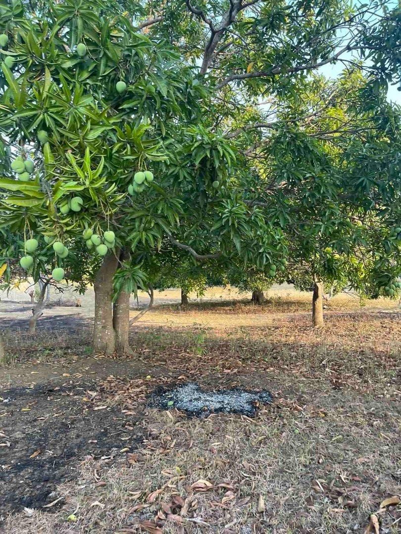 Farm Lot Calatagan, Batangas, Property, For Sale, Lot on Carousell