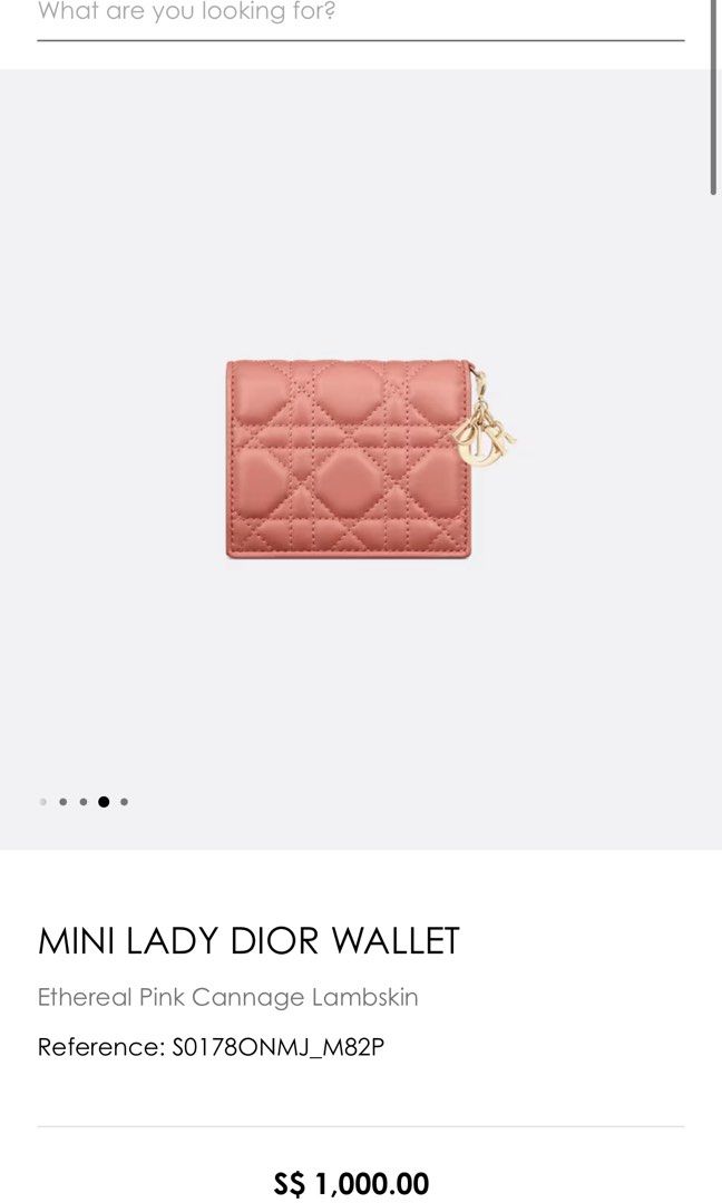 Dior mini shop lady wallet
