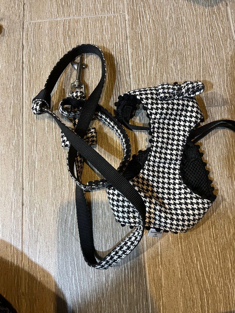 Cheap dog accessories store
