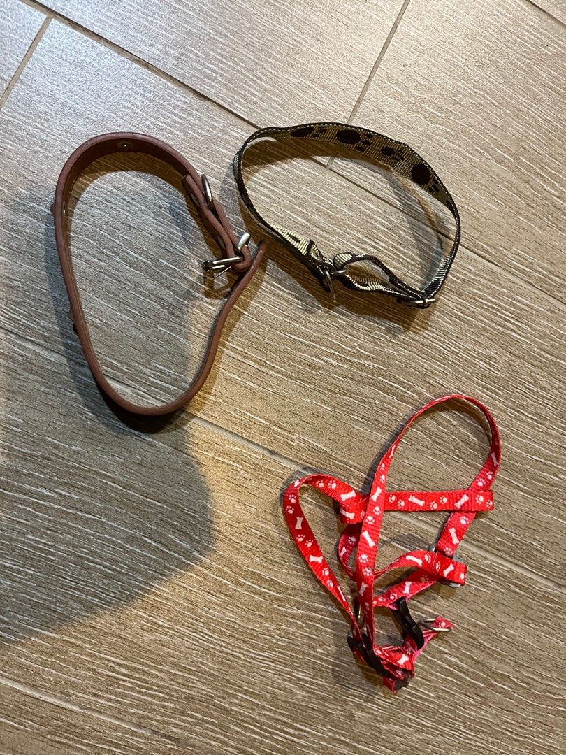 Cheap shop pet accessories
